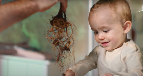 Screenshot 2022-01-24 at 15.10.36.png